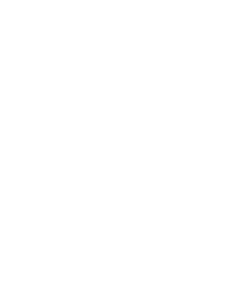 WeRunGrz logo